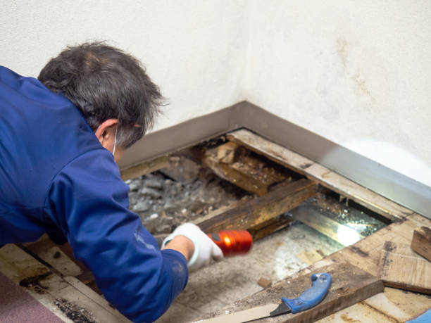 Best Industrial Mold Remediation in Ahtanum, WA