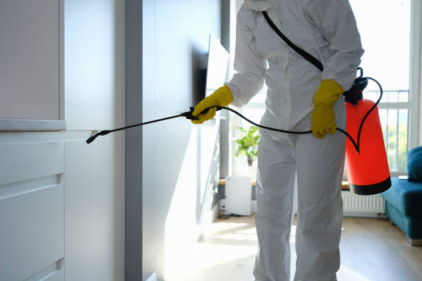 Best Residential Mold Remediation in Ahtanum, WA